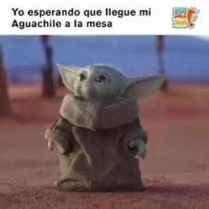 Meet your Posher, Neto